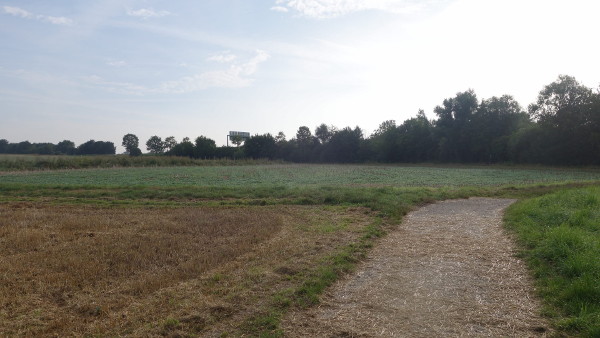 Feldweg beim Preungesheimer Dreieck