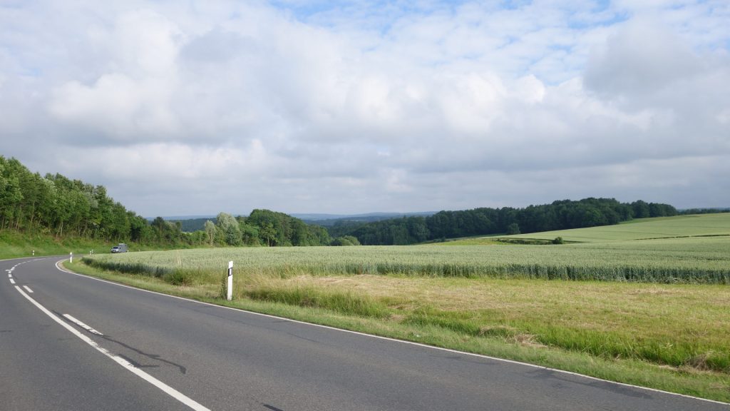 Blick zurück Richtung Dallau - Felder und Wald 8:19:51 Uhr