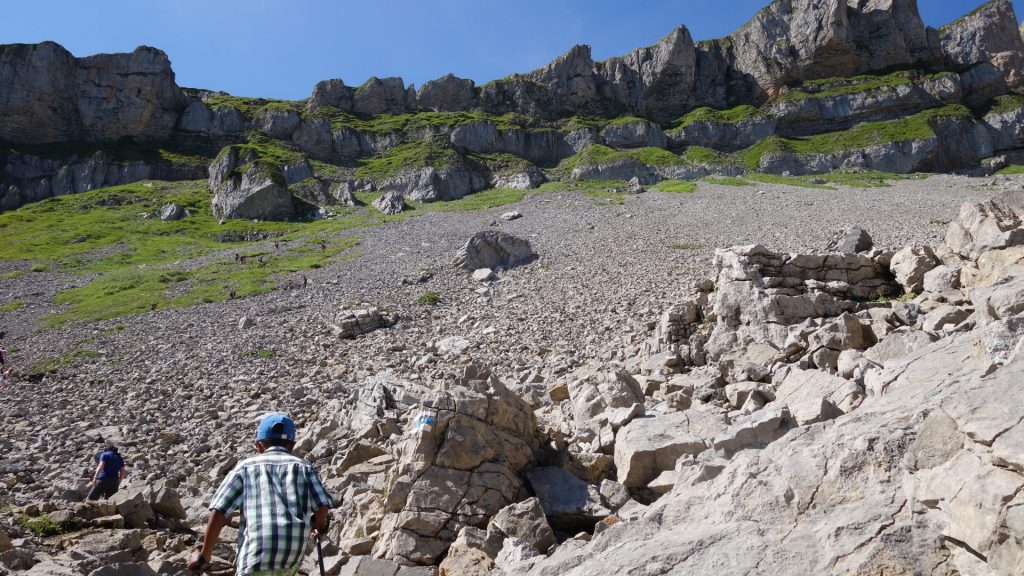 Unten am Aufstieg zum Hohen Ifen (Nordseite): Steinfläche