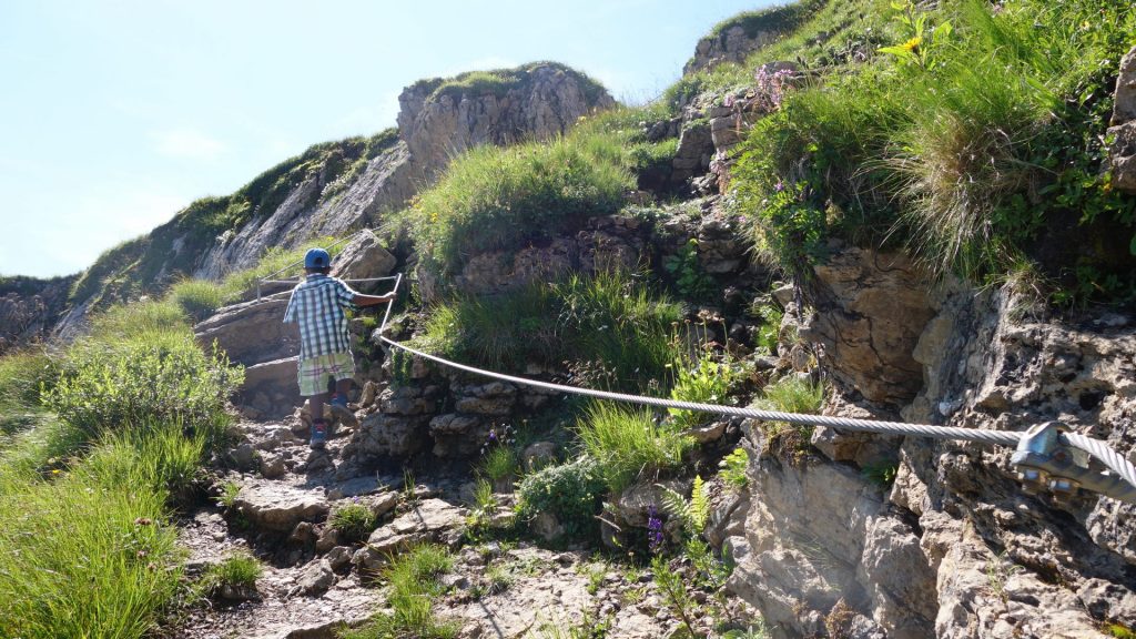 Aufstieg zum Hohen Ifen (Nordseite): fast oben, am Seil geht es über Felsstufen