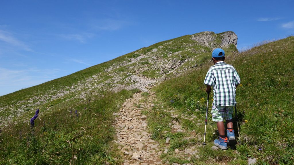 Hoher Ifen: nach dem Nordaufstieg weiter auf der langen Schräge