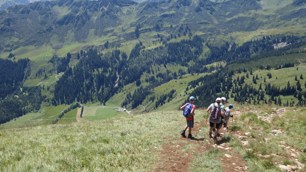 Abstieg auf dem Eugen Köhler-Weg auf einer schrägen Wiese, im Tal unten die Melköde