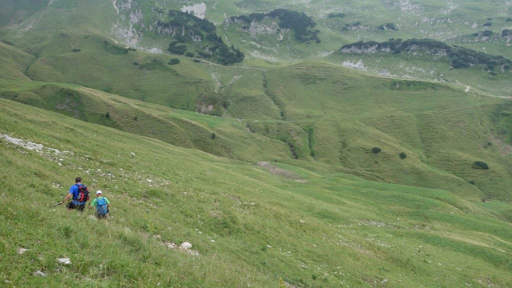 Da ist kein Weg mehr, und Wolken sind aufgezogen - wir joggen auf der Wiese abwärts Richtung Hintere Seealpe