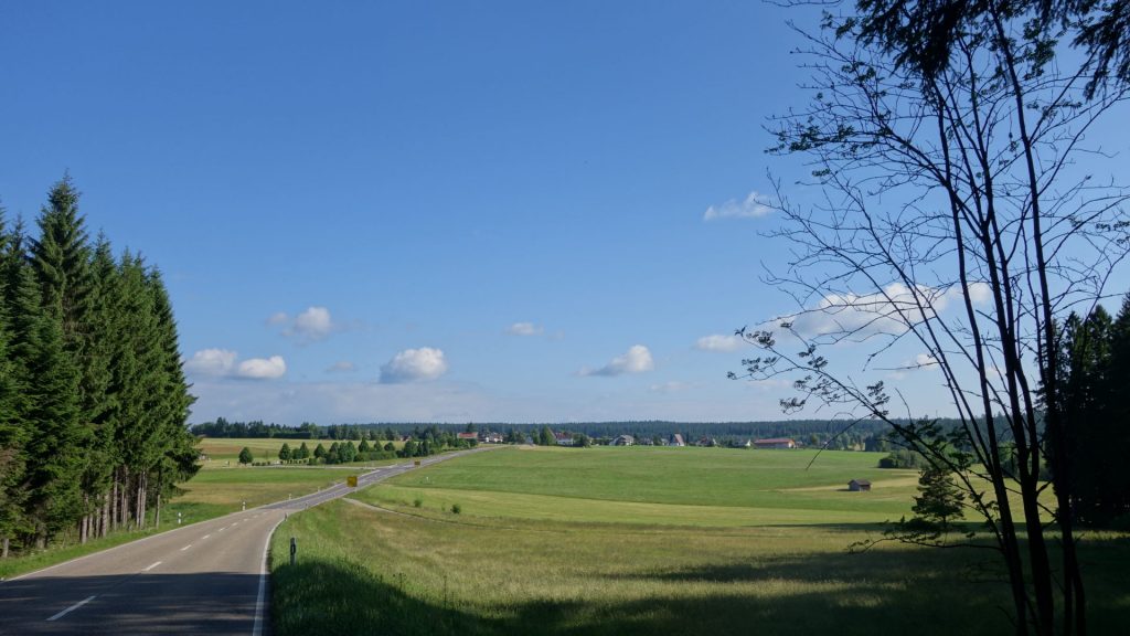 Blick zurück auf &quot;Seewald&quot; (B294)